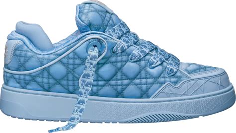 dior x erl sneakers.